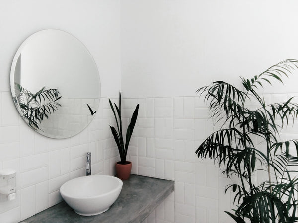The 6 Benefits of Plants in Bathrooms