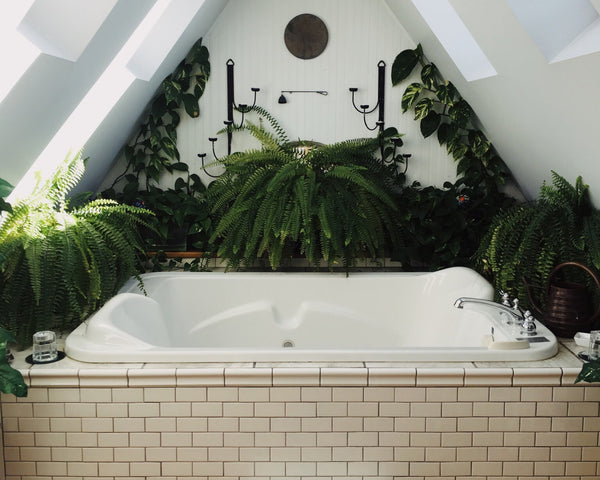 Enjoy a Tropical Paradise Bathroom All-Year-Round